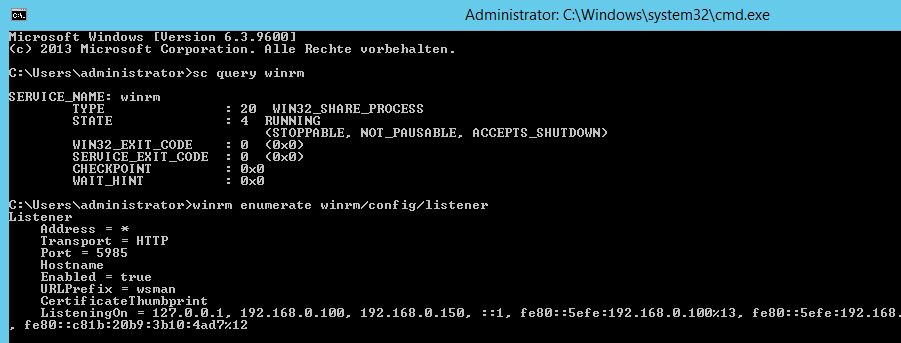 Windows Remote Management (WinRM)