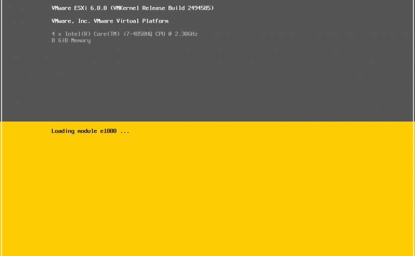 VMware ESXi 6.0